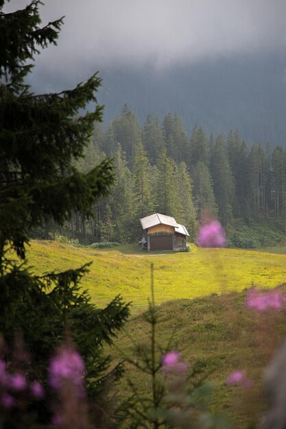 Foto casa di alta montagna su erba verde e fiori.