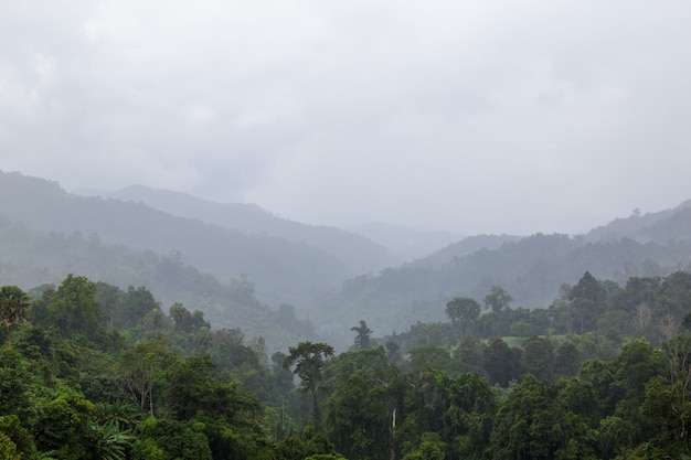 High mountain landscape and fog