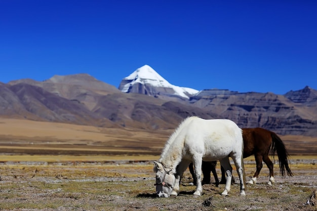 high mountain pass in Tibet mountain landscape