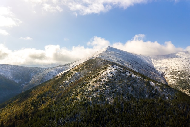 秋のトウヒの森と雪に覆われた高い山頂に覆われた高い山頂。