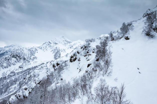 冬の曇りの日に雪に覆われた高山の頂上