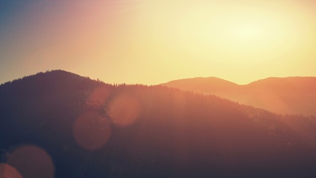 High mountain slope sunset hill chain aerial view coniferous wildlife habitat mountainous forest