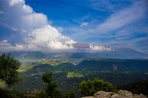 High mountains and green pine forest in the afternoon in summer