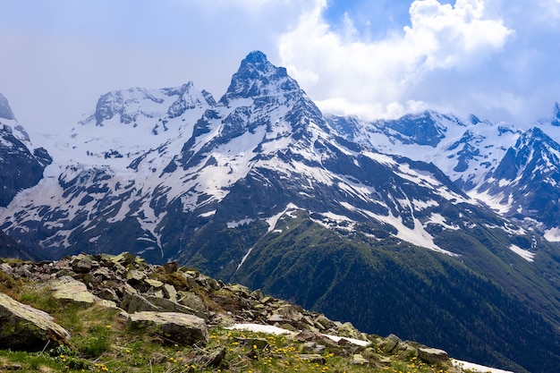 写真 夏の雪の中の高山