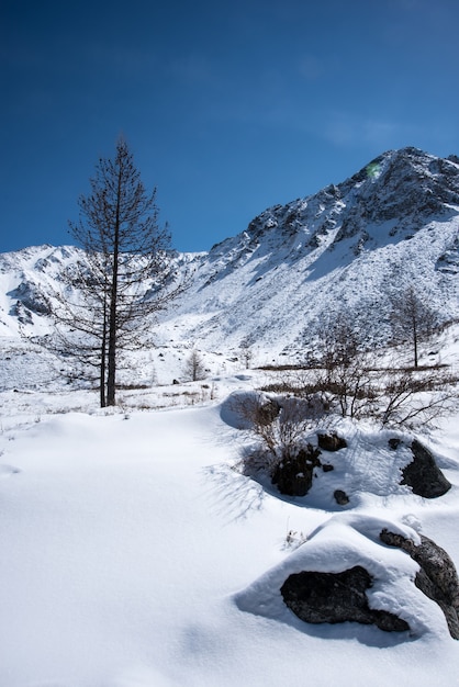 冬の雪の下の高い山