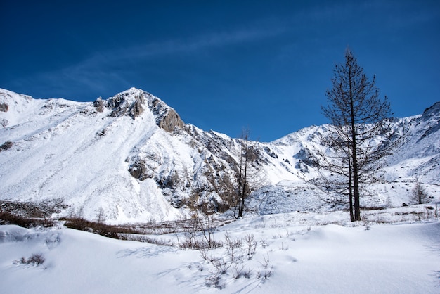 High mountains under snow in the winter