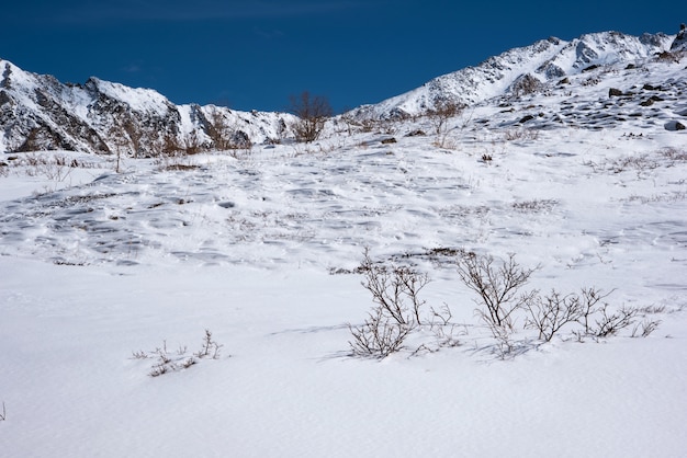 冬の雪の下の高い山