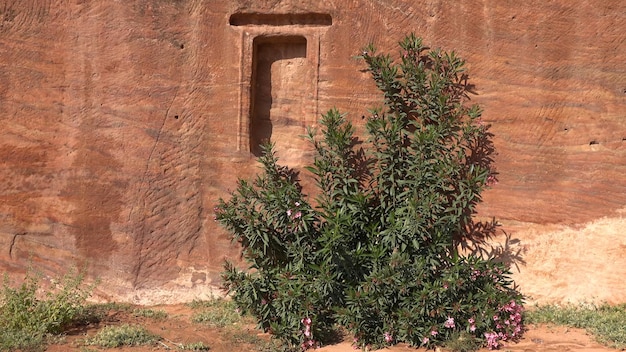 High Place of Sacrifice Trail in Petra Jordan Werelderfgoed