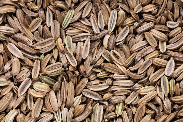 Высококачественные семена ароматного фенхеля в текстурной форме для вашего личного сада Могут использоваться производителями семян