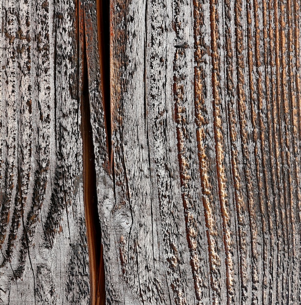 High resolution picture of natural wood 