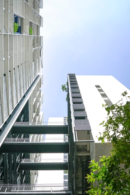 High rise buiidings in a city Low angle view looking up