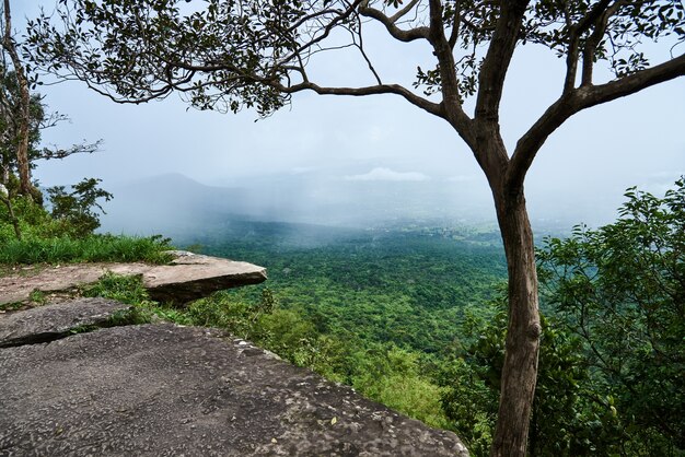 Photo high rock cliff