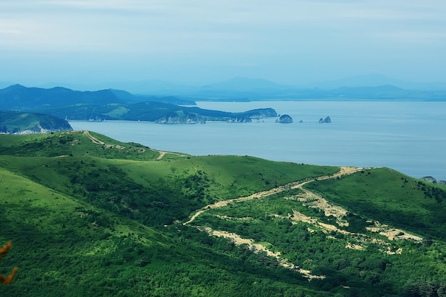 high seashore greenery of the cliff