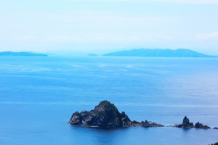 Photo 절벽의 높은 해변 녹지