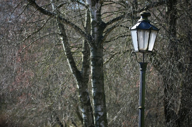 写真 公園のランプポストの高い部分