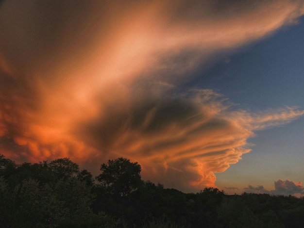 Foto sezione alta di alberi a silhouette contro il cielo panoramico