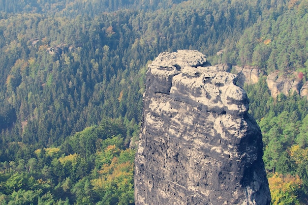 High single rock on a background of mountains and forests Toned