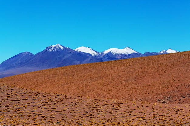 볼리비아의 높은 눈 덮인 산