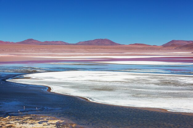 High snowy mountains in Bolivia