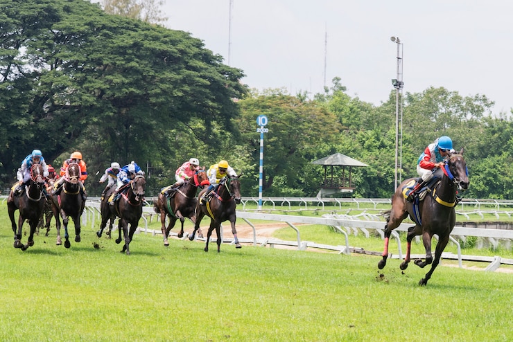 Photo 高速競馬