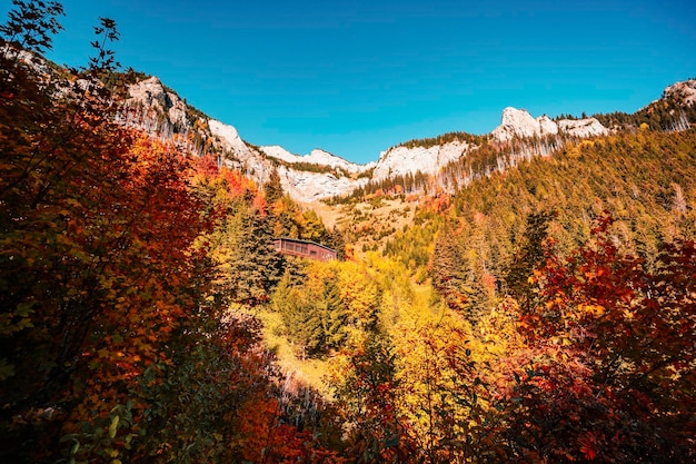 다채로운 가을 나무가 있는 하이 타트라(High Tatras)는 젤렌 호수에서 슬로바키아 벨리안스케 타트리(Belianske Tatry) 산 근처 코티지 플레스니베크(plesnivec)까지 하이킹