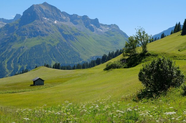 Alta vista delle alpi in austria