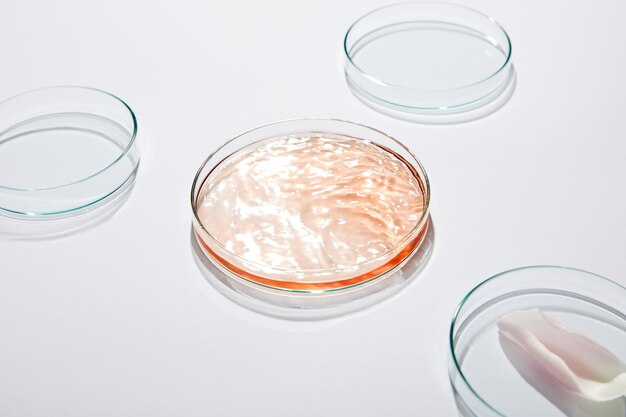 High view of laboratory glassware set with liquid and rose petal on grey background