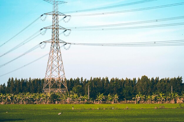 High voltage electrical pole from electricity distribution station at rice field Technology concept ...