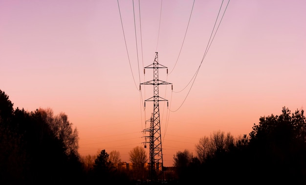 High-voltage line in the forest goes into the sunset, silhouette
