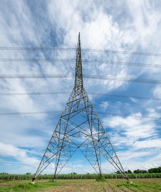 High voltage pole in sugarcane