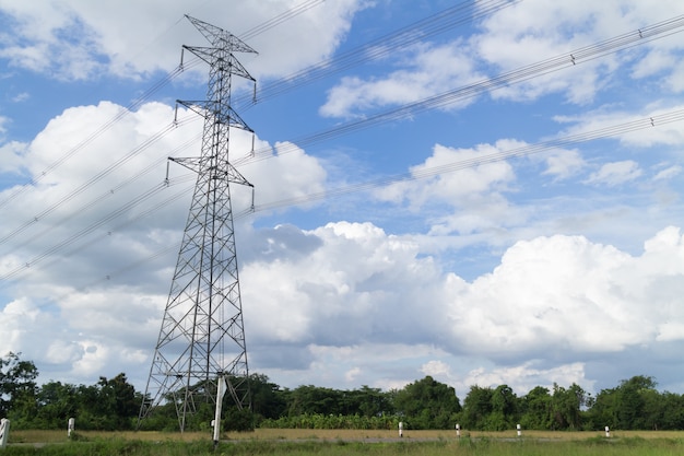 High voltage post or high-voltage tower in a rice field