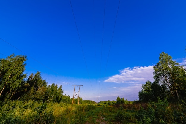 High voltage power line in the forest on a summer day