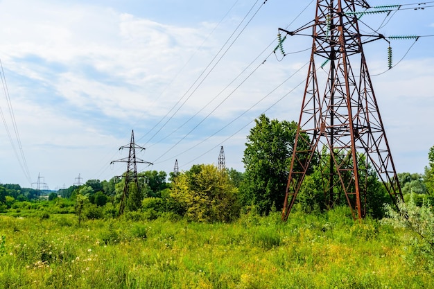 High voltage power line in a forest