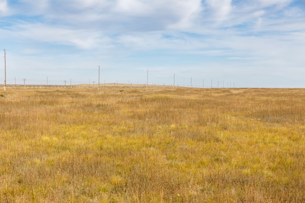 Linea elettrica ad alta tensione nella steppa mongola, mongolia