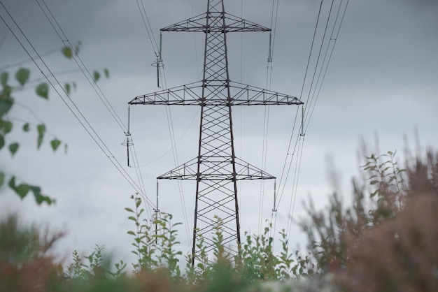 High voltage power line vegetation in the foreground supply of\
electricity to remote areas