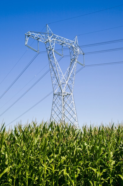  high voltage pylon in a cultivated field