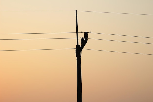 High voltage pylons in the early morning