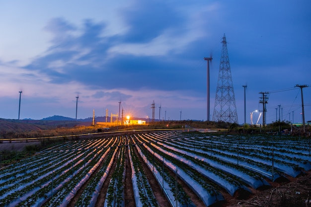 Photo high voltage substation and windmill with strawberry field blue sky at sunset.