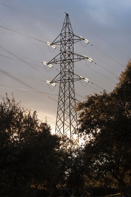 High voltage tower in a forest environment