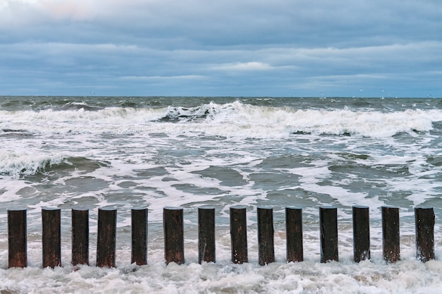 High wooden breakwaters stretching at coastline, close up view