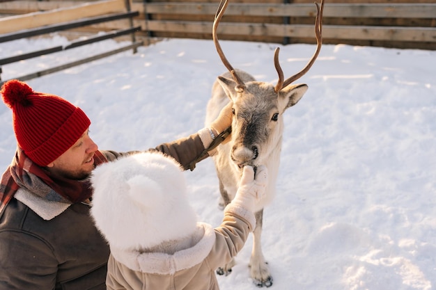 Highangle view happy family of father and little child daughter outdoors feeding cute young reindeer