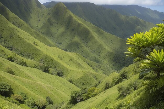 グアデループで最も高い緑の山