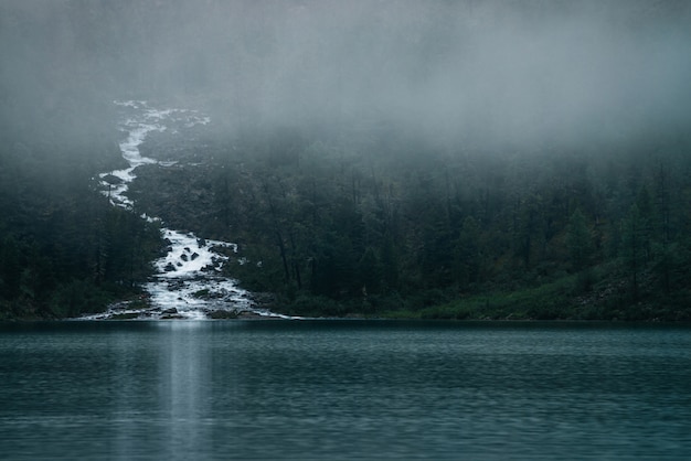 Highland lake and foggy forest