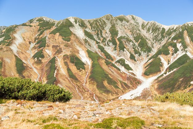 Photo highland in mt.tateyama