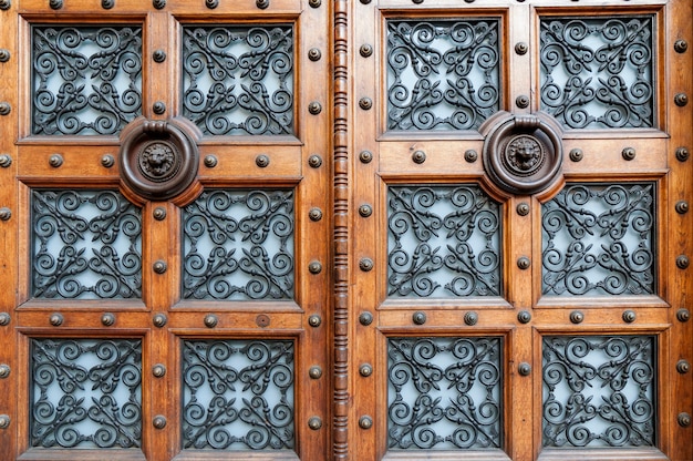Highly decorated wooden doors with lion heads metallic handles