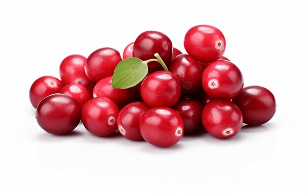 HighQuality Cranberries in Studio Setting