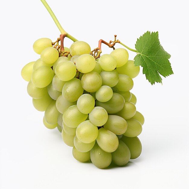 HighResolution Grapes without Reflection on White