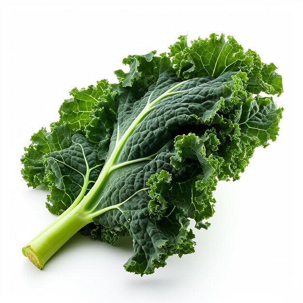 HighResolution Studio Photo of Kale on White Background