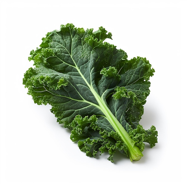 HighResolution Studio Photo of Kale on White Background