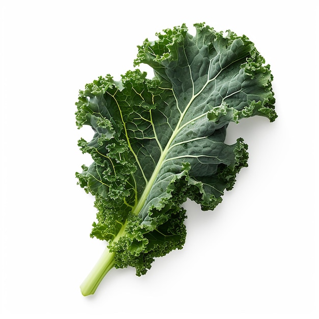 HighResolution Studio Photo of Kale on White Background